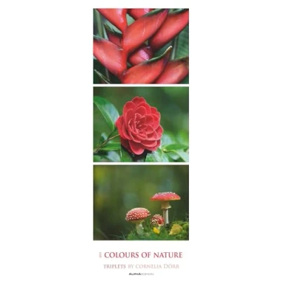 Abbildung von Alpha Edition Colours of Nature: Triplets 2025 Streifenkalender XXL, 25x69cm, Kalender mit 3 aufeinander abgestimmten Bildern pro Monat, Notizmöglichkeiten und internationales Kalendarium