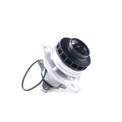 Abbildung von AIRTEX 1751 Wasserpumpe RENAULT: SCENIC 3, ESPACE 4, MEGANE 3 Grandtour, NISSAN: Qashqai / Qashqai+2 I, X Trail, Primastar Bus