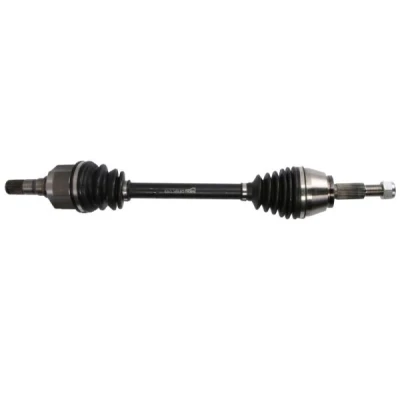 Abbildung von Antriebswelle PASCAL G2R163PC