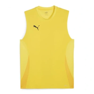 Abbildung von PUMA Fußballtrikot TeamGoal Trikot