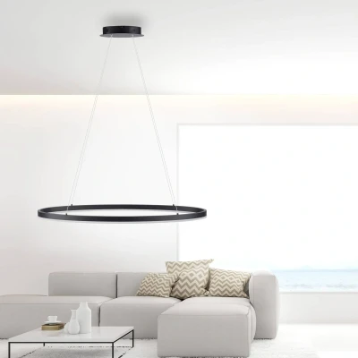 Abbildung von Paul Neuhaus LED Pendenleuchte TITUS, 1x Board/38,00Watt, dimmbar, Anthrazit
