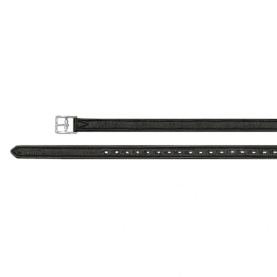 Abbildung von Passier Steigbügelriemen VelvetTouch 25mm Nylon Schw 140cm