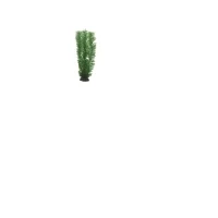 Abbildung von Hobby Aquariendeko Egeria künstliche Pflanzen für das Aquarium 20 cm