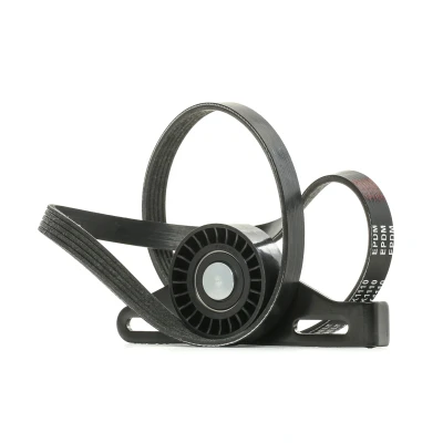 Abbildung von RIDEX 542R0138 Keilrippenriemensatz RENAULT: CLIO 2, LAGUNA Kangoo I, DACIA: Logan I MCV, Sandero Limousine