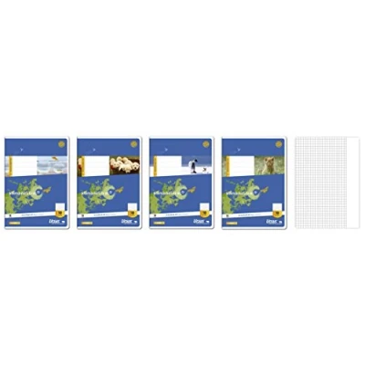 Abbildung von Format X Schulheft A5 Lineatur 10 kariert mit Rand 16 Blatt