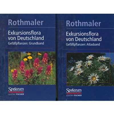 Abbildung von Exkursionsflora von Deutschland. Bd. 2: Gefäßpflanzen Grundband