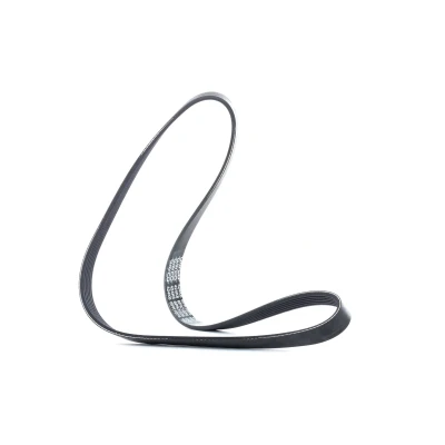 Abbildung von DAYCO 6PK1076 Keilrippenriemen 1076,0 6 VOLKSWAGEN: Polo IV Schrägheck, Golf 4 V SKODA: Fabia 2 1 Combi