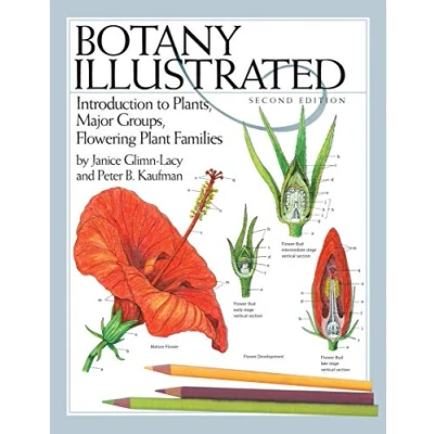 Abbildung von Botany Illustrated: Introduction to Plants, Major Groups, Flowering Plant Families