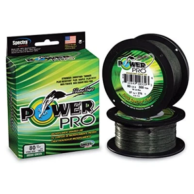 Abbildung von Power Pro Pp 275M 0,76mm 95kg M. Green