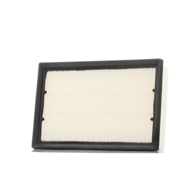 Abbildung von CHAMPION CAF100867P Luftfilter 58 185 274 Filtereinsatz LAND ROVER: Freelander 2 SUV, Kastenwagen