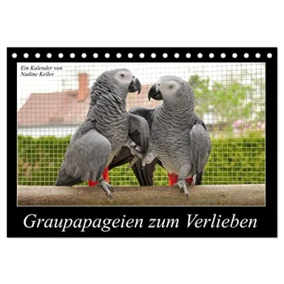 Abbildung von Graupapageien zum Verlieben (Tischkalender 2025 DIN A5 quer), CALVENDO Monatskalender