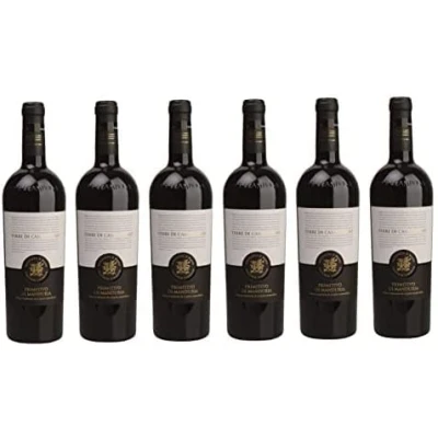 Abbildung von Terre di Campo Sasso Primitivo Manduria D.O.C. Apulien Italien Rotwein trocken (6x 0,75 l)