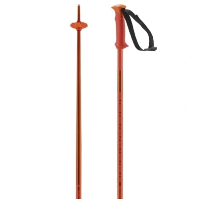 Abbildung von Salomon Unisex Adult Polar Alpine Poles, Cherry Tomato, 125