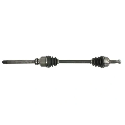 Abbildung von Antriebswelle PASCAL G2P060PC