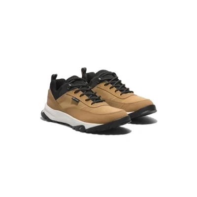 Abbildung von Timberland Sneaker low, Herren, Größe: 43.5, Wheat leather Schuhe