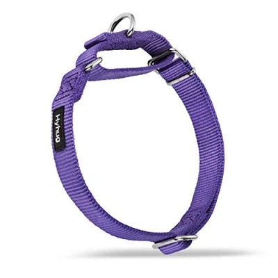 Abbildung von Hyhug Martingal Hundehalsband mit Schnalle: Ausbruchsicher, rutschfestes Robustes Polyester, farbechtes verstellbares Haustierzubehör für kleine Hunderassen (Klein, Ultraviolettes Licht)