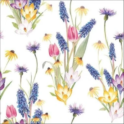 Abbildung von Hello spring