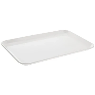 Abbildung von neoLab 2 3841 Instrumententablett aus Melamin, 30 x 19 cm