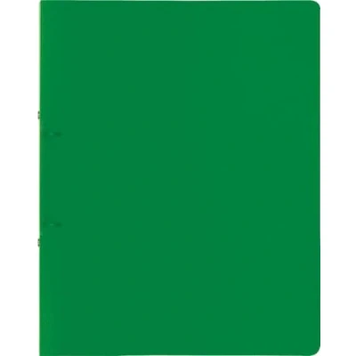Abbildung von 10 x Brunnen Ringbuch Fact! A4 25mm 2 Ringe grün
