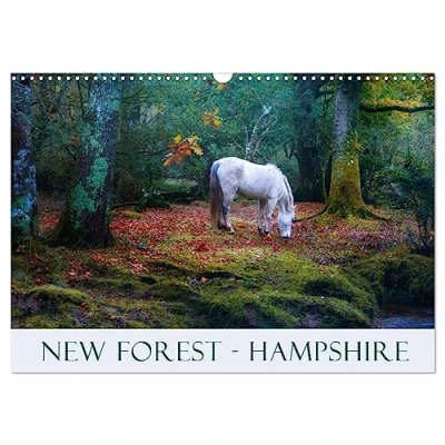 Abbildung von New Forest Hampshire (Wandkalender 2025 DIN A3 quer), CALVENDO Monatskalender