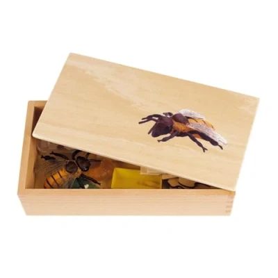 Abbildung von TimeTEX Lebenszyklus einer Honigbiene In Holzbox &quot;Montessori Premium&quot; Zur Veranschaulichung des Entwicklungsprozesses Maße der Holzbox: 23,1x12,1x5,6 cm