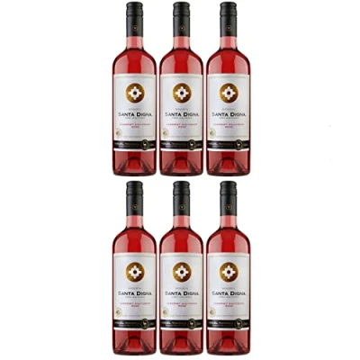Abbildung von Miguel Torres Santa Digna Reserva Cabernet Sauvignon Rosé Roséwein Wein Trocken Chile I Versanel Paket (6 x 0,75l)