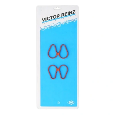 Abbildung von REINZ 11 33448 01 Dichtungssatz, Ansaugkrümmer RENAULT: Kangoo I, TWINGO 2, CLIO 2
