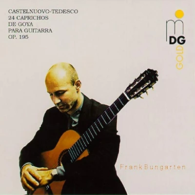 Abbildung von Gitarre: Castelnuovo 24 Caprich