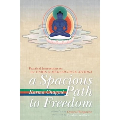 Abbildung von A Spacious Path to Freedom: Practical Instructions on the Union of Mahamudra and Atiyoga