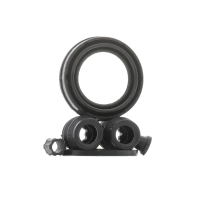 Abbildung von RIDEX 405R0404 Bremssattel Reparatursatz Hinterachse 38 MERCEDES BENZ: Viano, Vito Bus, Mixto
