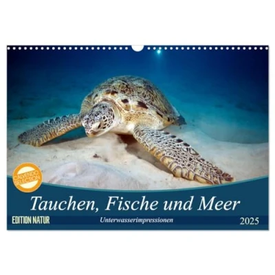 Abbildung von Tauchen, Fische und Meer (Wandkalender 2025 DIN A3 quer), CALVENDO Monatskalender