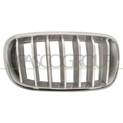Abbildung von BLIC 6502 07 00969966P Kühlergrill vorne rechts titan, chrom BMW: X5, X6