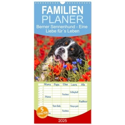 Abbildung von Familienplaner 2025 Berner Sennenhund Eine Liebe für&#039;s Leben mit 5 Spalten (Wandkalender, 21 cm x 45 cm), CALVENDO