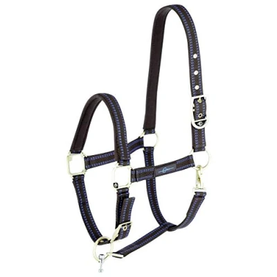 Abbildung von GoLeyGo Halfter 2.0 Braun/Hellblau Pony