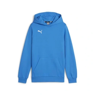 Abbildung von puma Teamgoal Kapuzenpullover für Kinder, Größe: 164, Ignite blue white