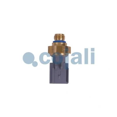 Abbildung von Unterdrucksensor COJALI 2262035COJ