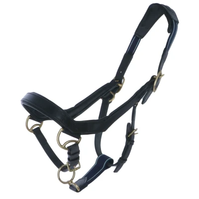 Abbildung von Rambo Micklem Halfter Schwarz Pony