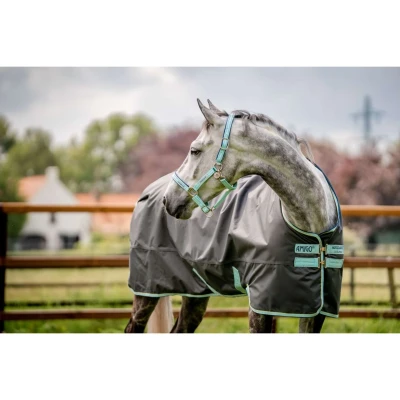 Abbildung von Horseware Halfter Field Safe Blue Haze Warmblut