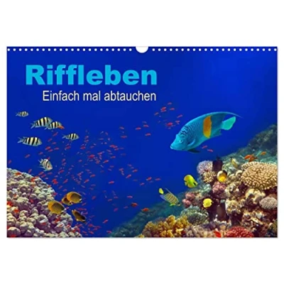 Abbildung von Riffleben Einfach mal abtauchen (Wandkalender 2025 DIN A3 quer), CALVENDO Monatskalender