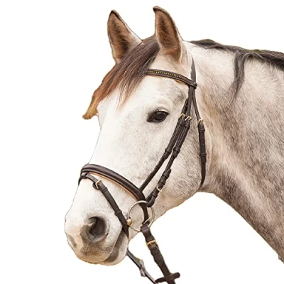 Abbildung von Star Trense Diamond Englisch Kombiniert braun/gold Warmblut