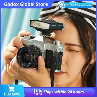 Abbildung von GODOX Flash Retro lux Junior GRIS