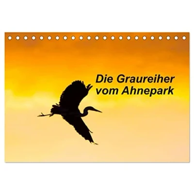 Abbildung von Die Graureiher vom Ahnepark (Tischkalender 2025 DIN A5 quer), CALVENDO Monatskalender