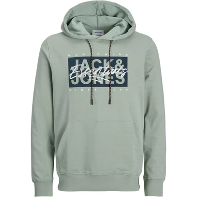 Abbildung von Jack &amp; Jones PlusSize Kapuzensweatshirt JJCOLTON SWEAT HOOD PLS