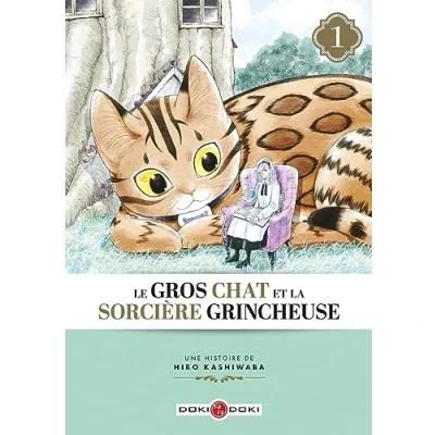 Abbildung von Le Gros Chat et la Sorcière grincheuse vol. 01