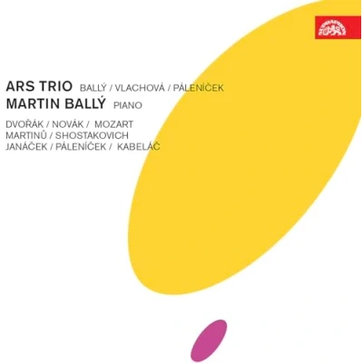 Abbildung von Martin Bally Tschechische Musik des 20. Jahrhunderts