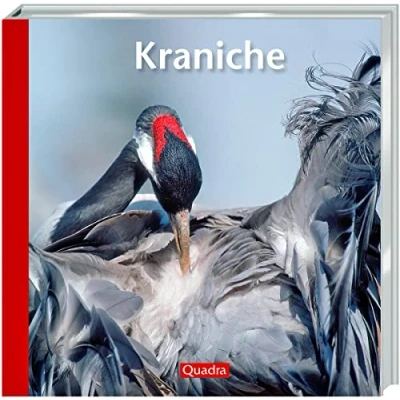 Abbildung von Kraniche: Die Vögel des Glücks sind Sinnbild Vogelzugs