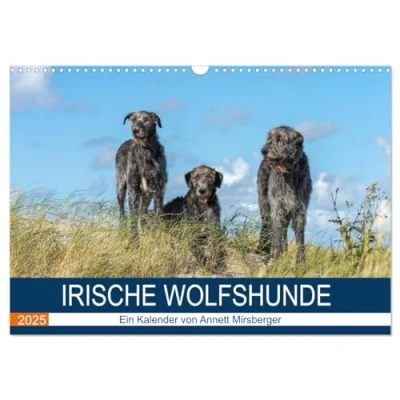 Abbildung von Irische Wolfshunde (Wandkalender 2025 DIN A3 quer), CALVENDO Monatskalender