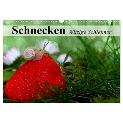 Abbildung von Schnecken. Witzige Schleimer (Wandkalender 2025 DIN A3 quer), CALVENDO Monatskalender