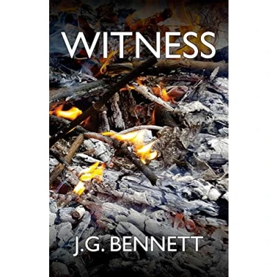 Abbildung von Witness: The Story of a Search (The Collected Works J.G. Bennett, Band 7)