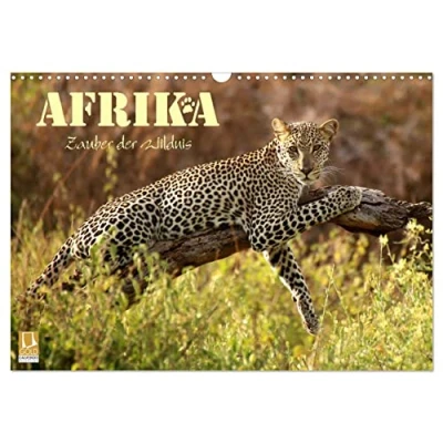 Abbildung von Afrika Zauber der Wildnis (Wandkalender 2025 DIN A3 quer), CALVENDO Monatskalender